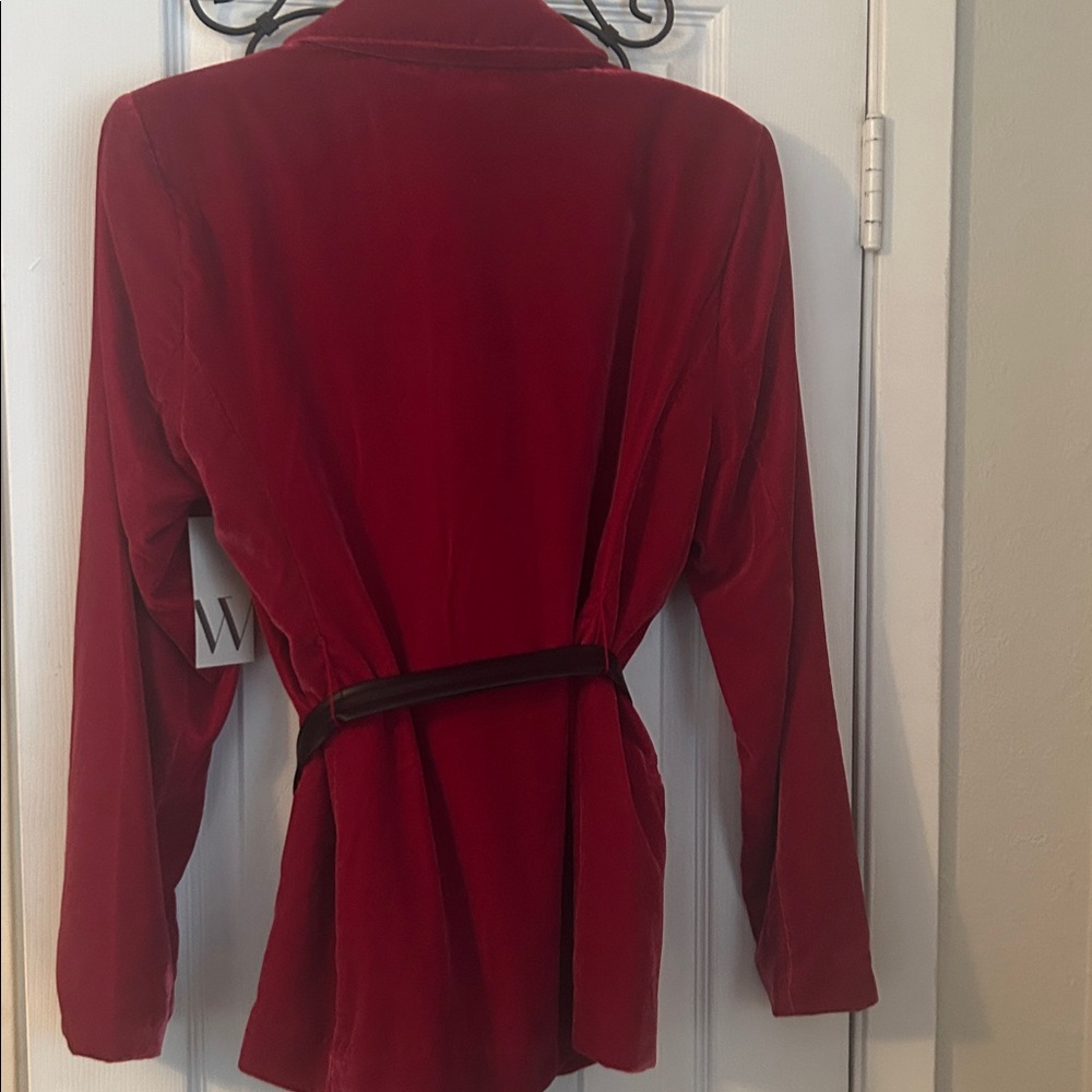 Velour blazer - Picture 5 of 5